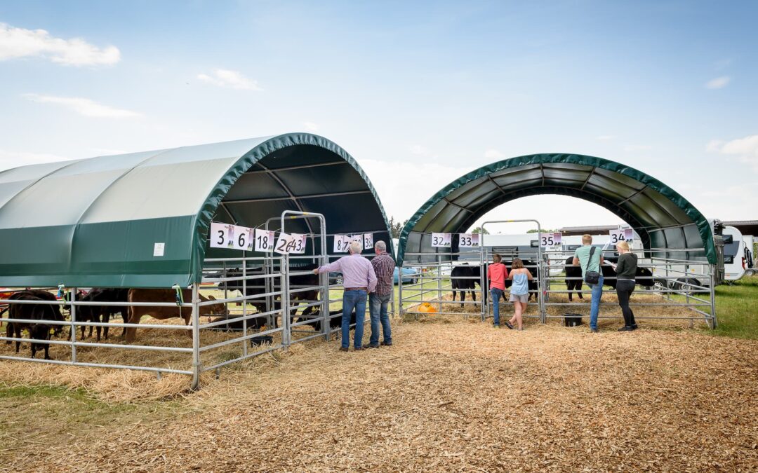 Unterstand für Wagyu-Rinderauktion